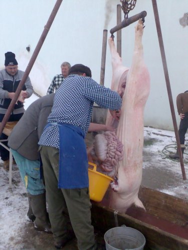 Vepřové hody - 29.12.2006